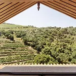 Casa Do Riacho - Douro Armamar