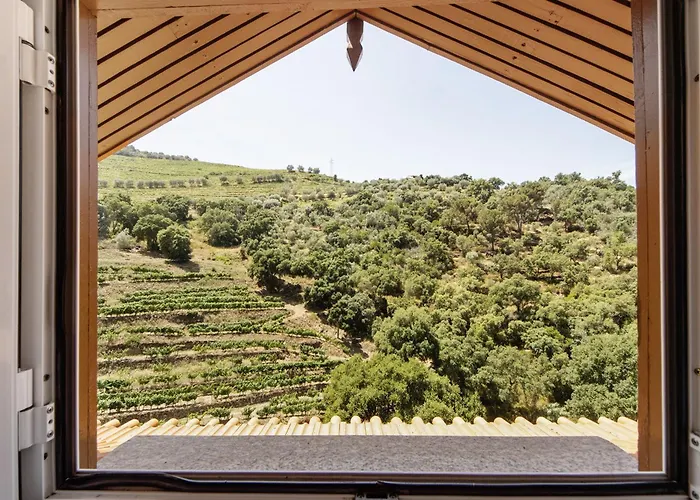Casa Do Riacho - Douro 아마마